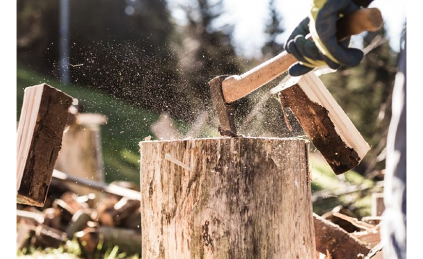 Ako si pripraviť drevo?